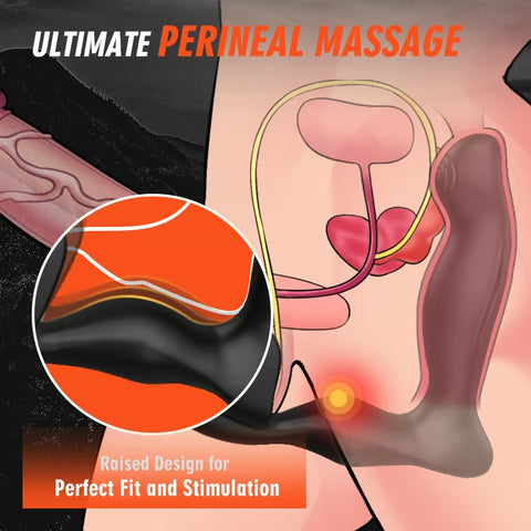 Vibratory Heating Of Anal Plug With Male Prostate Massager