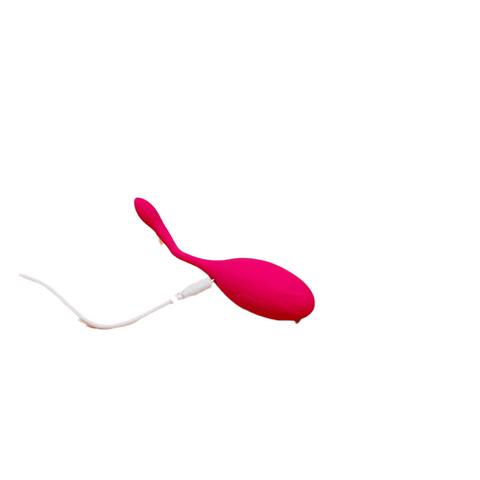 Smart Egg App Control Vibrator