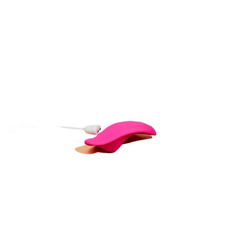 Wireless Remote Wearable Panty Vibrator